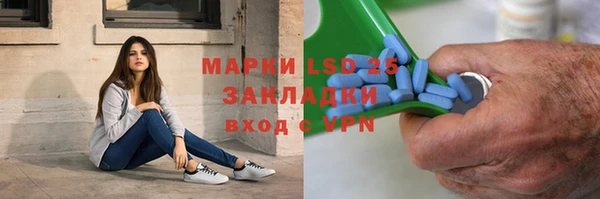 PSILOCYBIN Вязники