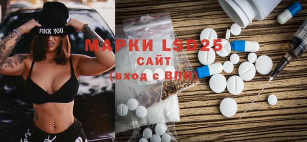PSILOCYBIN Вязники